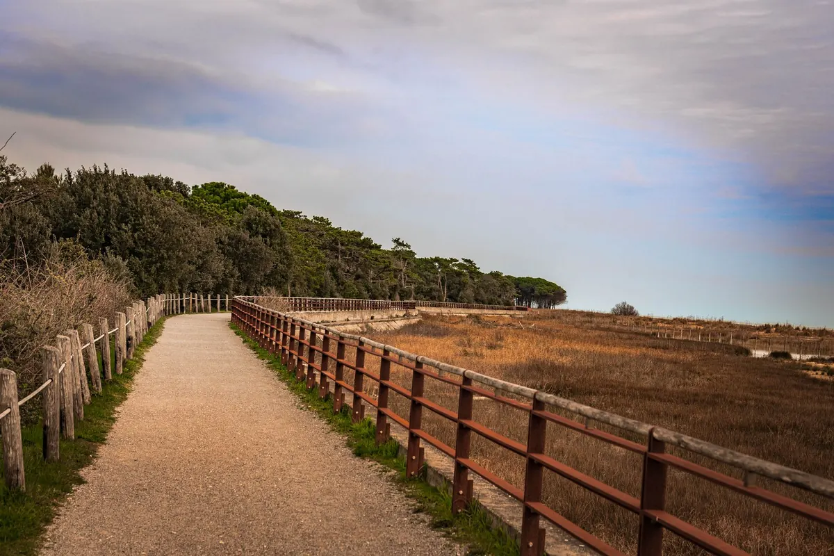 Coastal Suffolk Pub Walk Guide: How to Pair a Scenic Hike with a Good Pint